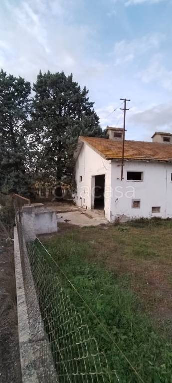 capannone in vendita a Città Sant'Angelo