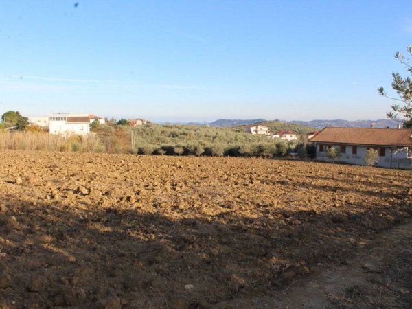 terreno agricolo in vendita a Città Sant'Angelo