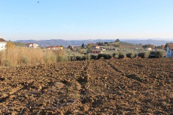 terreno agricolo in vendita a Città Sant'Angelo