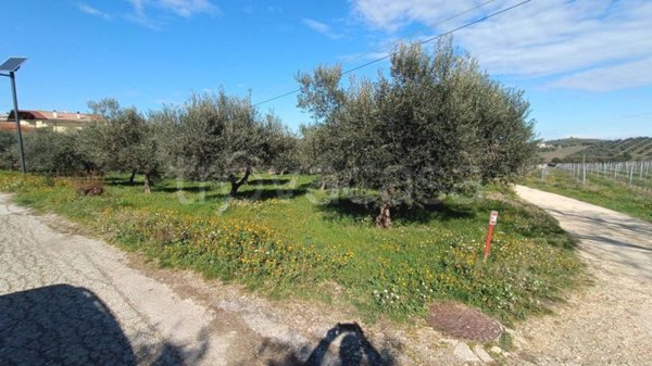 terreno edificabile in vendita a Città Sant'Angelo