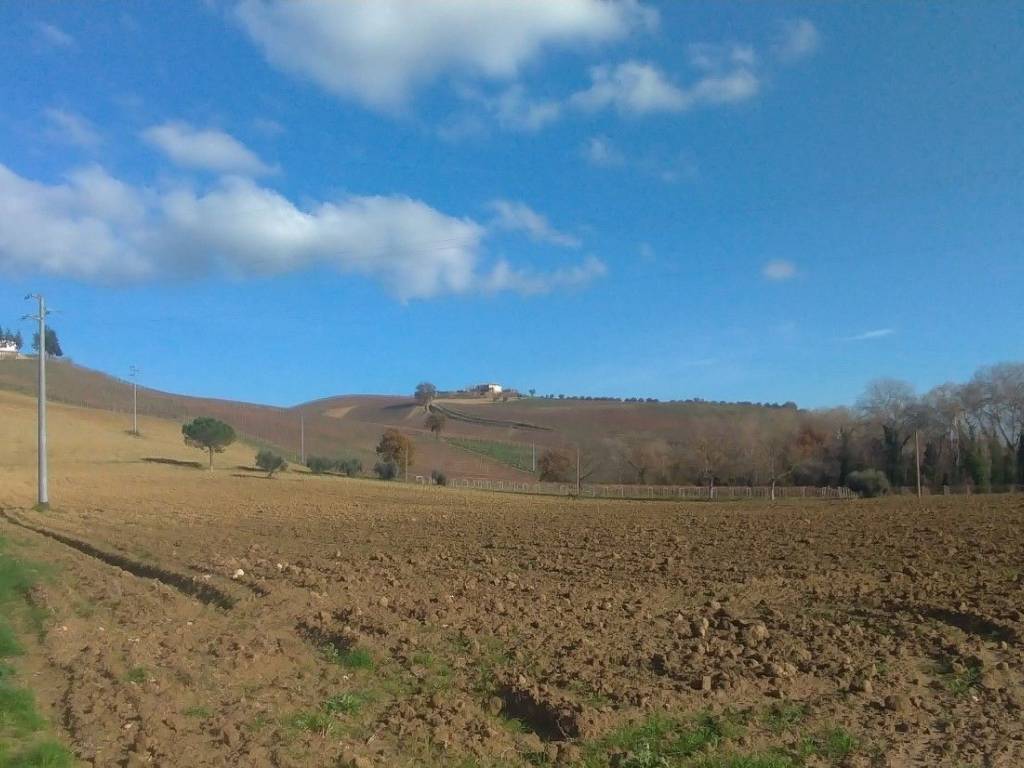 terreno agricolo in vendita a Città Sant'Angelo