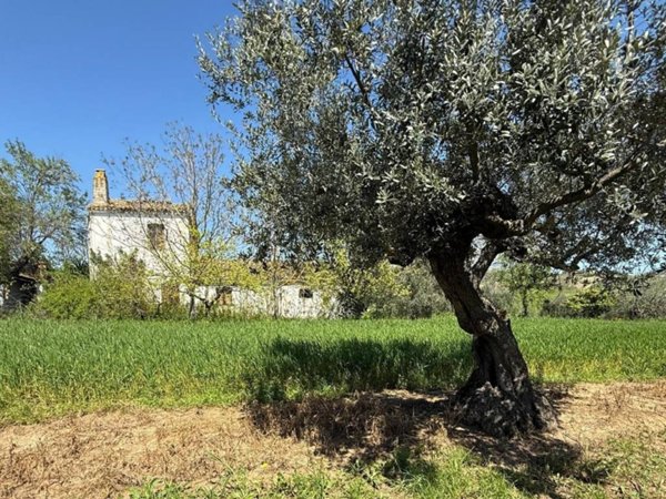 casa indipendente in vendita a Città Sant'Angelo in zona Fagnano