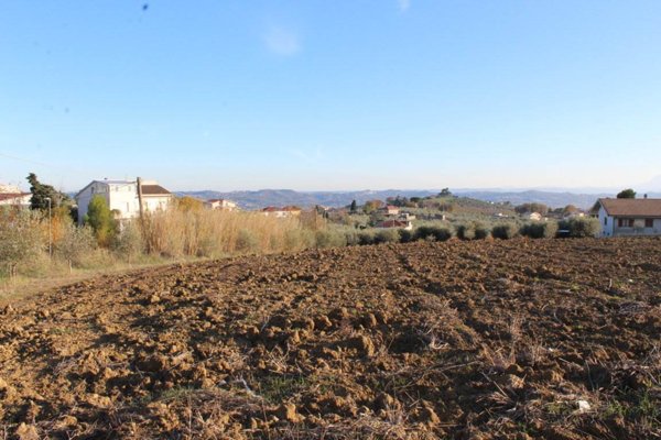 terreno agricolo in vendita a Città Sant'Angelo in zona San Pietro