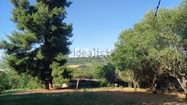 casa indipendente in vendita a Città Sant'Angelo in zona San Martino