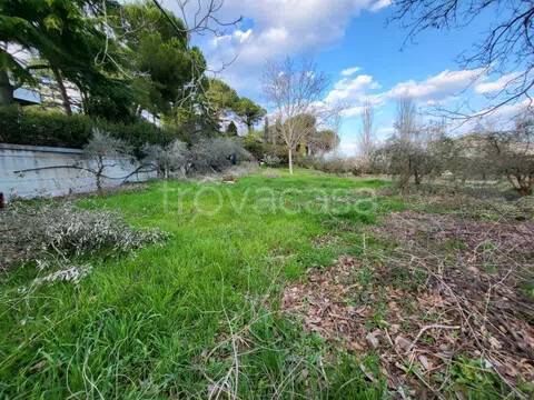 terreno edificabile in vendita a Città Sant'Angelo