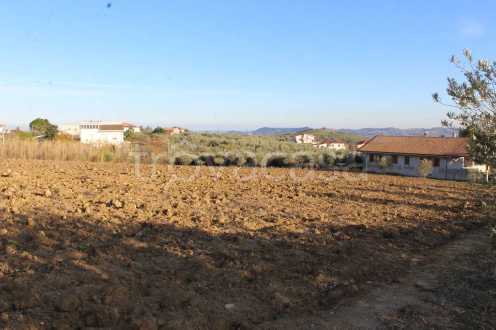 terreno agricolo in vendita a Città Sant'Angelo in zona Gaglierani