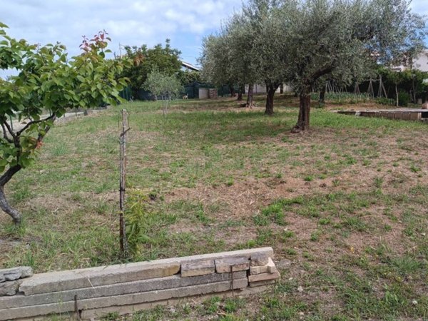 negozio in vendita a Città Sant'Angelo in zona San Martino