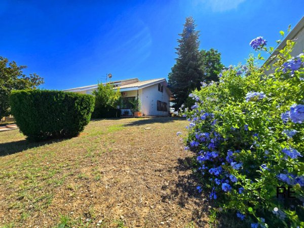 casa indipendente in vendita a Città Sant'Angelo in zona San Martino