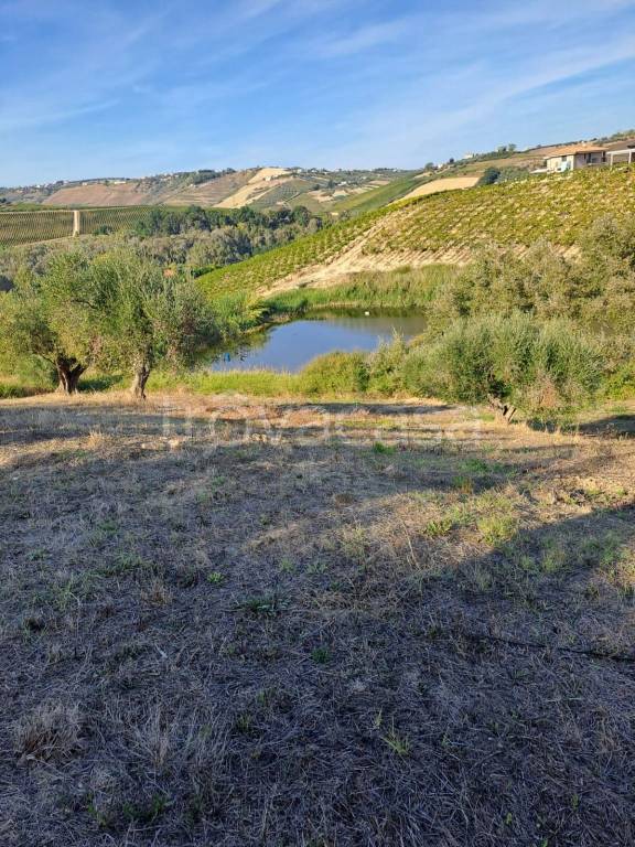terreno in vendita a Città Sant'Angelo