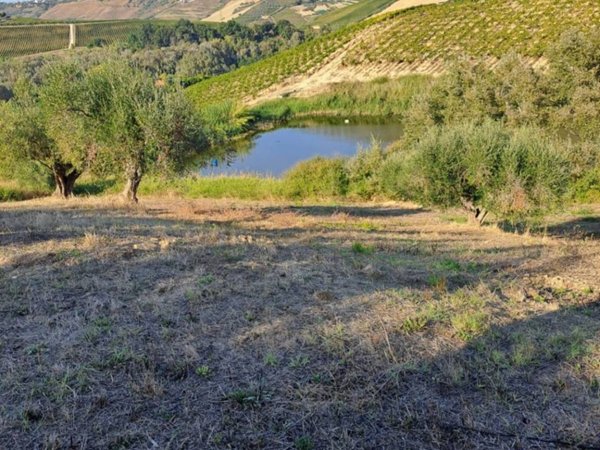 terreno in vendita a Città Sant'Angelo