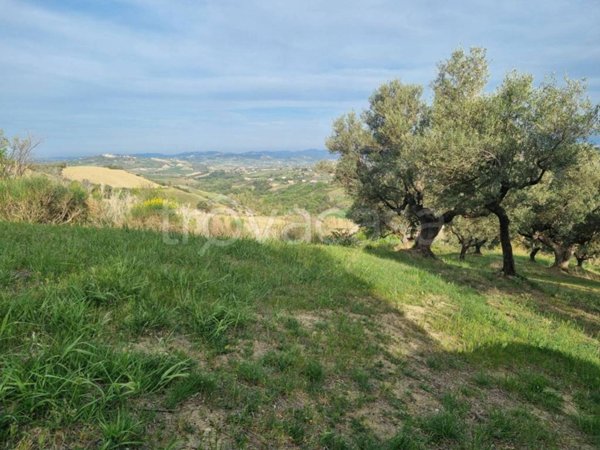 terreno agricolo in vendita a Civitaquana