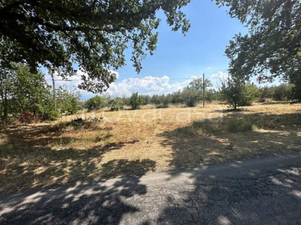 ufficio in vendita a Civitaquana