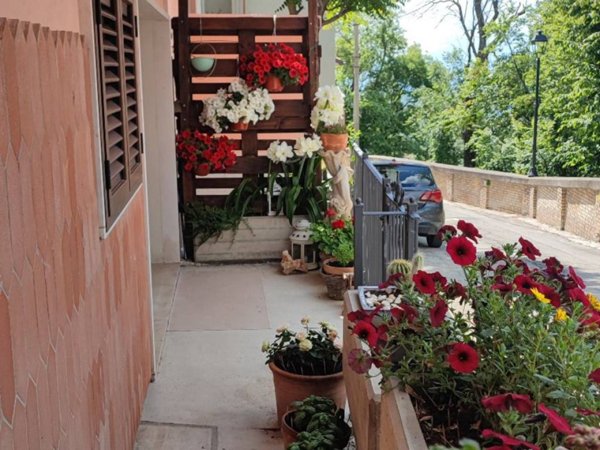 casa indipendente in vendita a Civitella Casanova in zona Vestea
