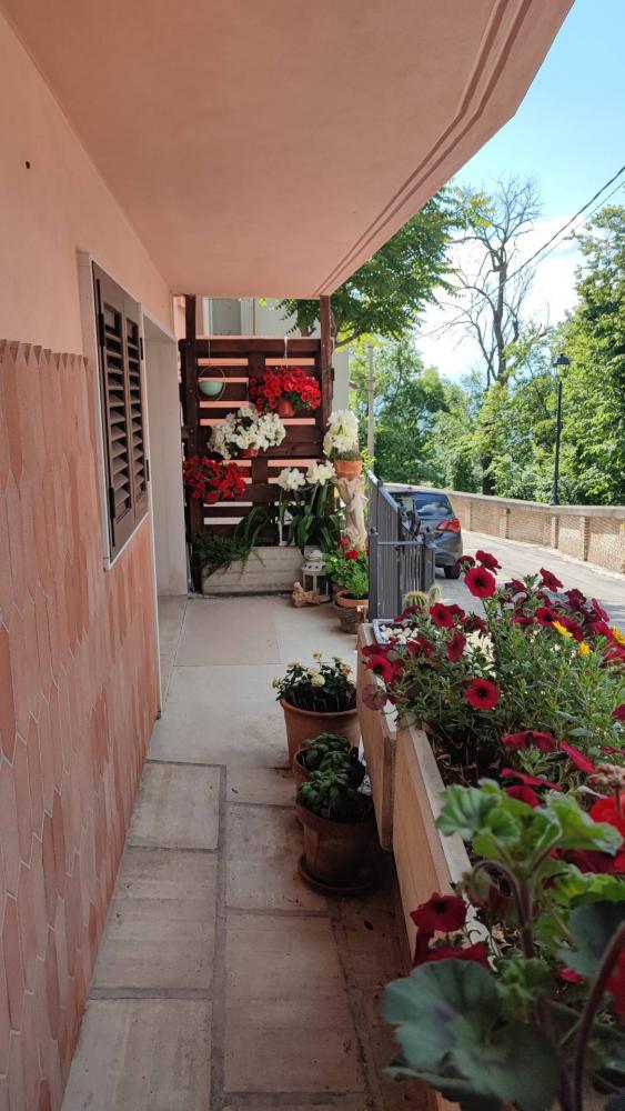 casa indipendente in vendita a Civitella Casanova in zona Vestea