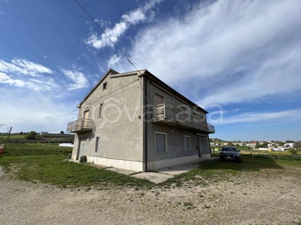 casa indipendente in vendita a Collecorvino