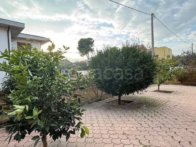 appartamento in vendita a Collecorvino