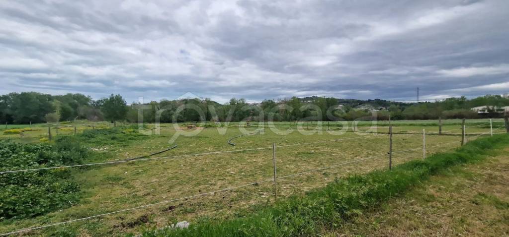terreno agricolo in vendita a Collecorvino in zona Congiunti