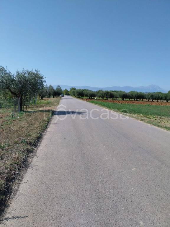 terreno agricolo in vendita a Collecorvino in zona Santa Lucia