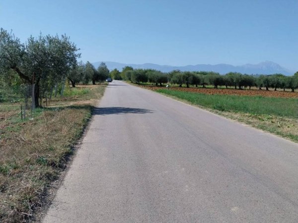 terreno agricolo in vendita a Collecorvino in zona Santa Lucia