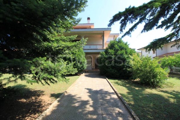 casa indipendente in vendita a Collecorvino