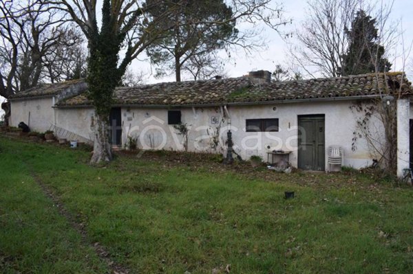 casa indipendente in vendita a Collecorvino
