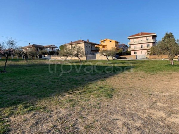 terreno edificabile in vendita a Collecorvino in zona Barberi