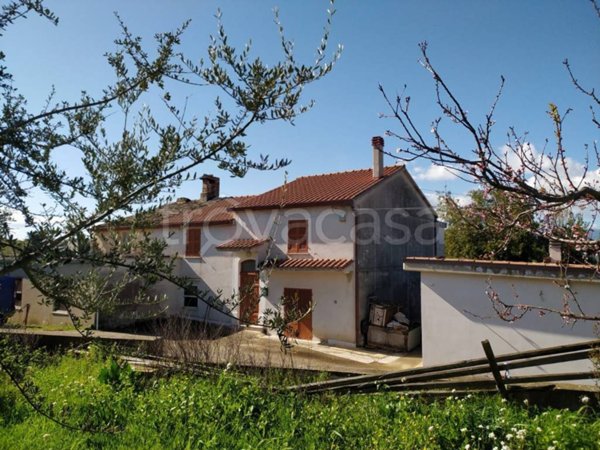 casa indipendente in vendita a Collecorvino