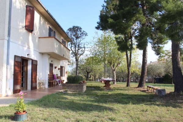 pentavano in vendita a Collecorvino