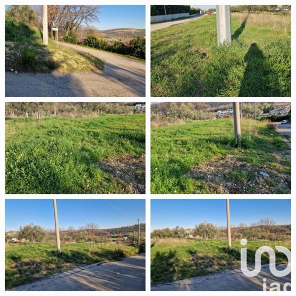 terreno agricolo in vendita a Collecorvino in zona Barberi