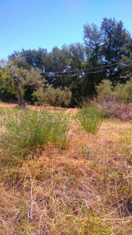 terreno edificabile in vendita a Collecorvino