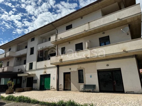 appartamento in vendita a Collecorvino
