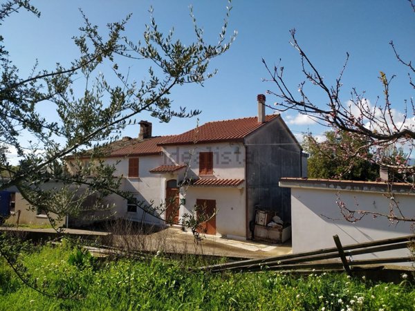 casa indipendente in vendita a Collecorvino