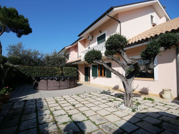 casa indipendente in vendita a Collecorvino