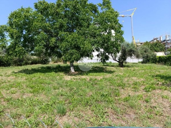 terreno edificabile in vendita a Collecorvino