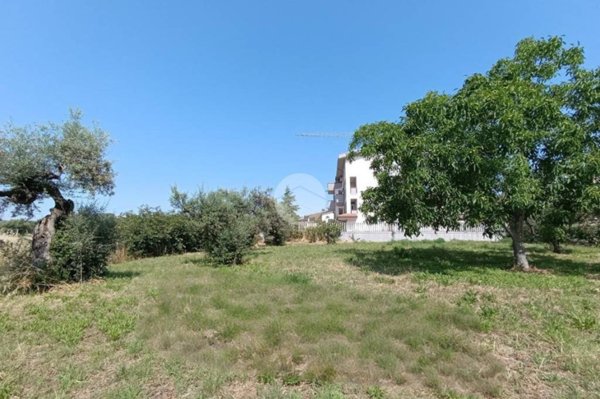 terreno edificabile in vendita a Collecorvino