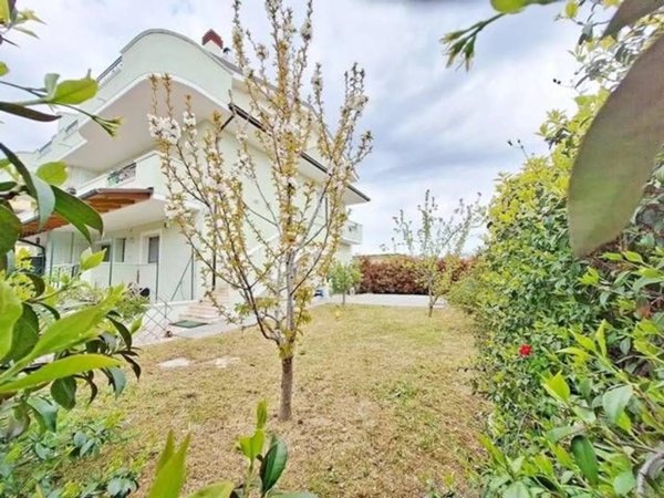 appartamento in vendita a Collecorvino