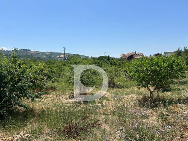 terreno edificabile in vendita a Collecorvino in zona Barberi