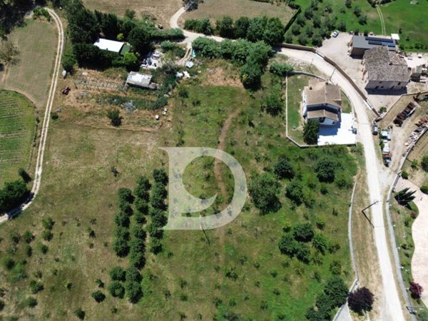 negozio in vendita a Collecorvino