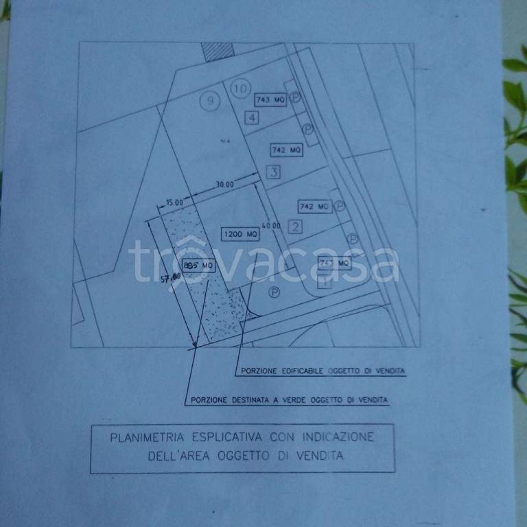 terreno agricolo in vendita a Collecorvino