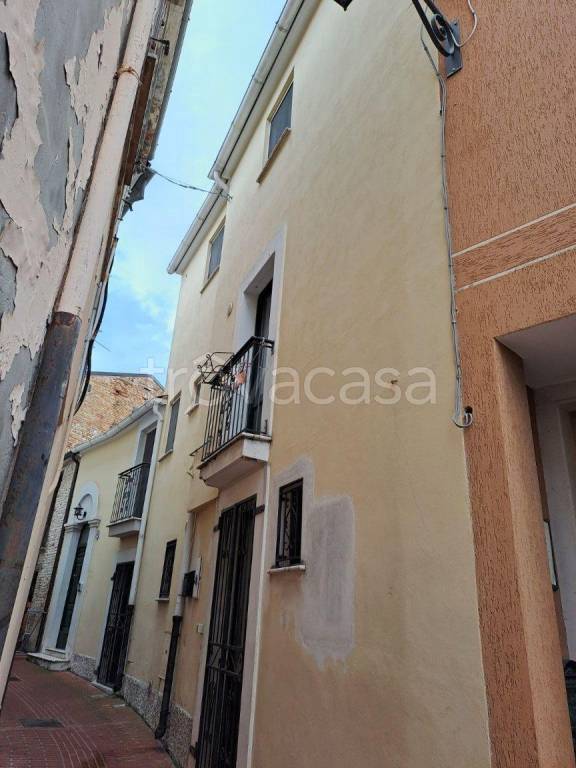 appartamento in vendita a Collecorvino