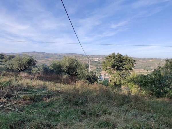 terreno agricolo in vendita a Collecorvino in zona Caparrone