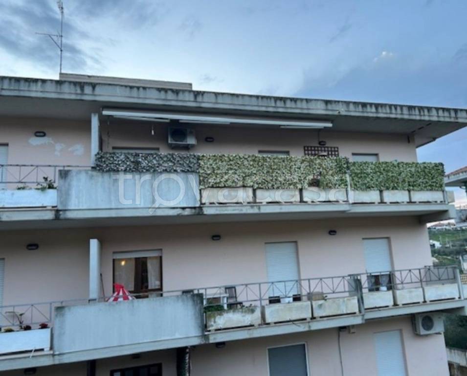 appartamento in vendita a Collecorvino