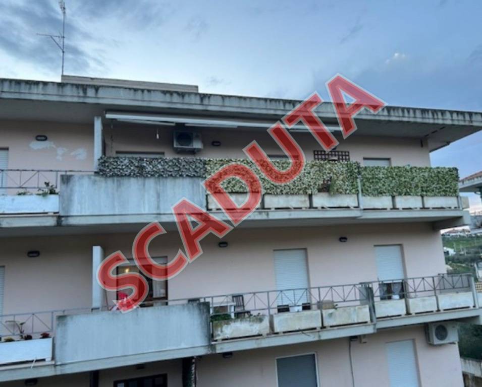 appartamento in vendita a Collecorvino