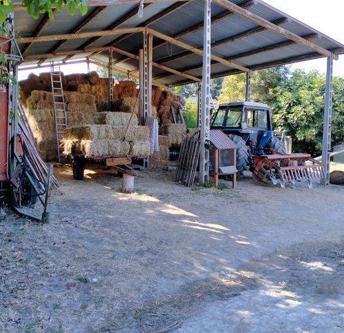 casa indipendente in vendita a Collecorvino in zona Congiunti