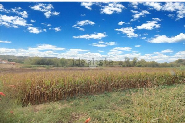 terreno edificabile in vendita a Collecorvino in zona Congiunti