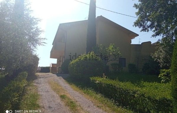 esavano in vendita a Collecorvino