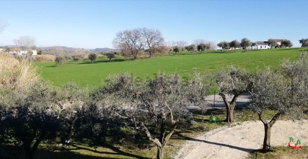 casa indipendente in vendita a Collecorvino