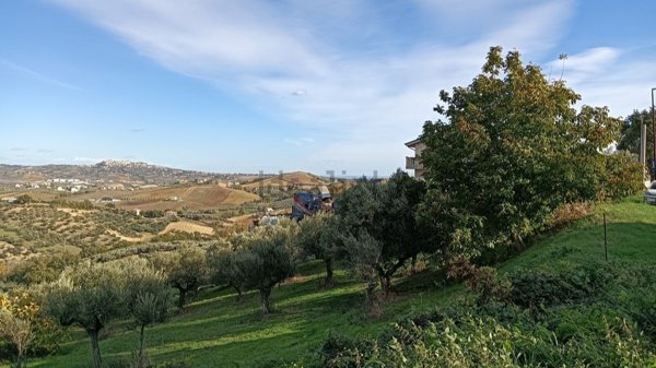 terreno edificabile in vendita a Collecorvino