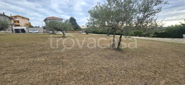 terreno edificabile in vendita a Collecorvino