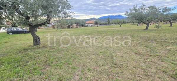 terreno edificabile in vendita a Collecorvino